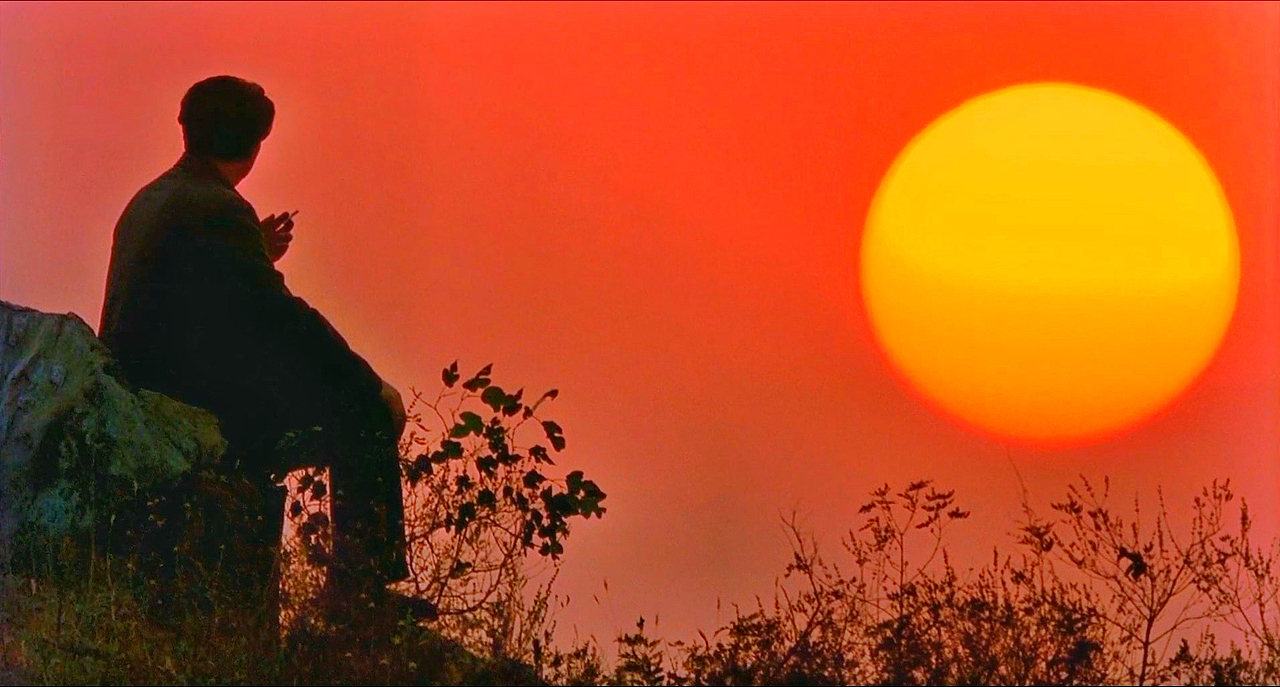 几张电影壁纸《两个太阳》