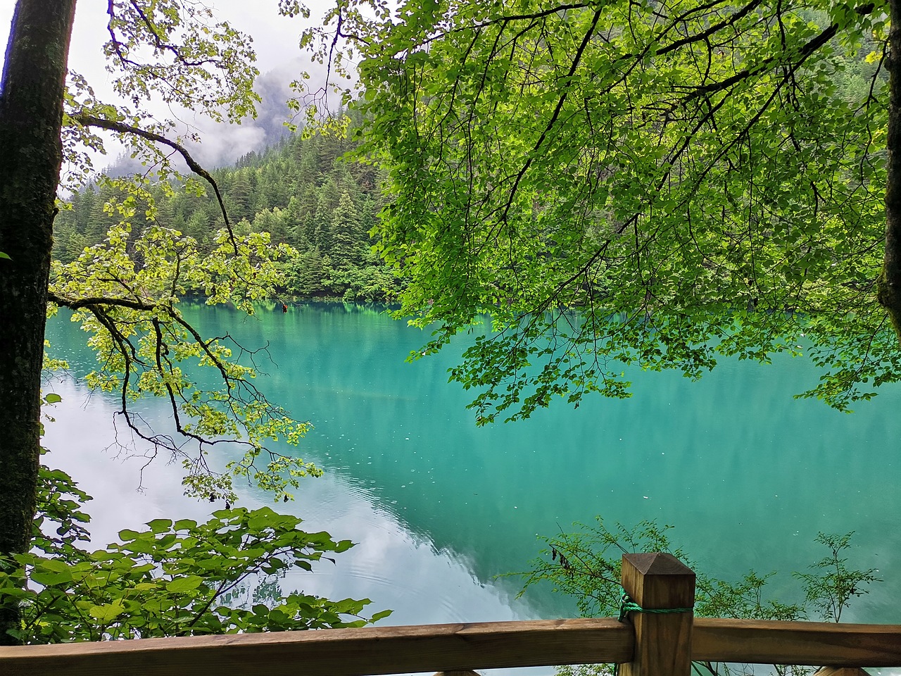 五彩缤纷九寨沟（上）