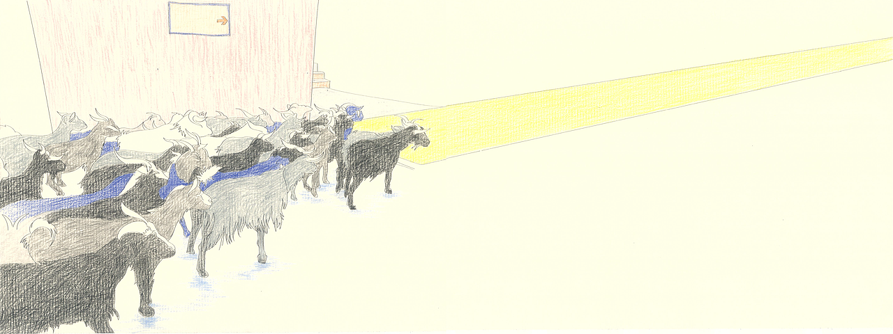 《柔软的绿皮火车》绘本设计（图ZMzQyMTE0MTY0） - 绘本 - 站酷设计师树游原创素材 - 站酷ZCOOL