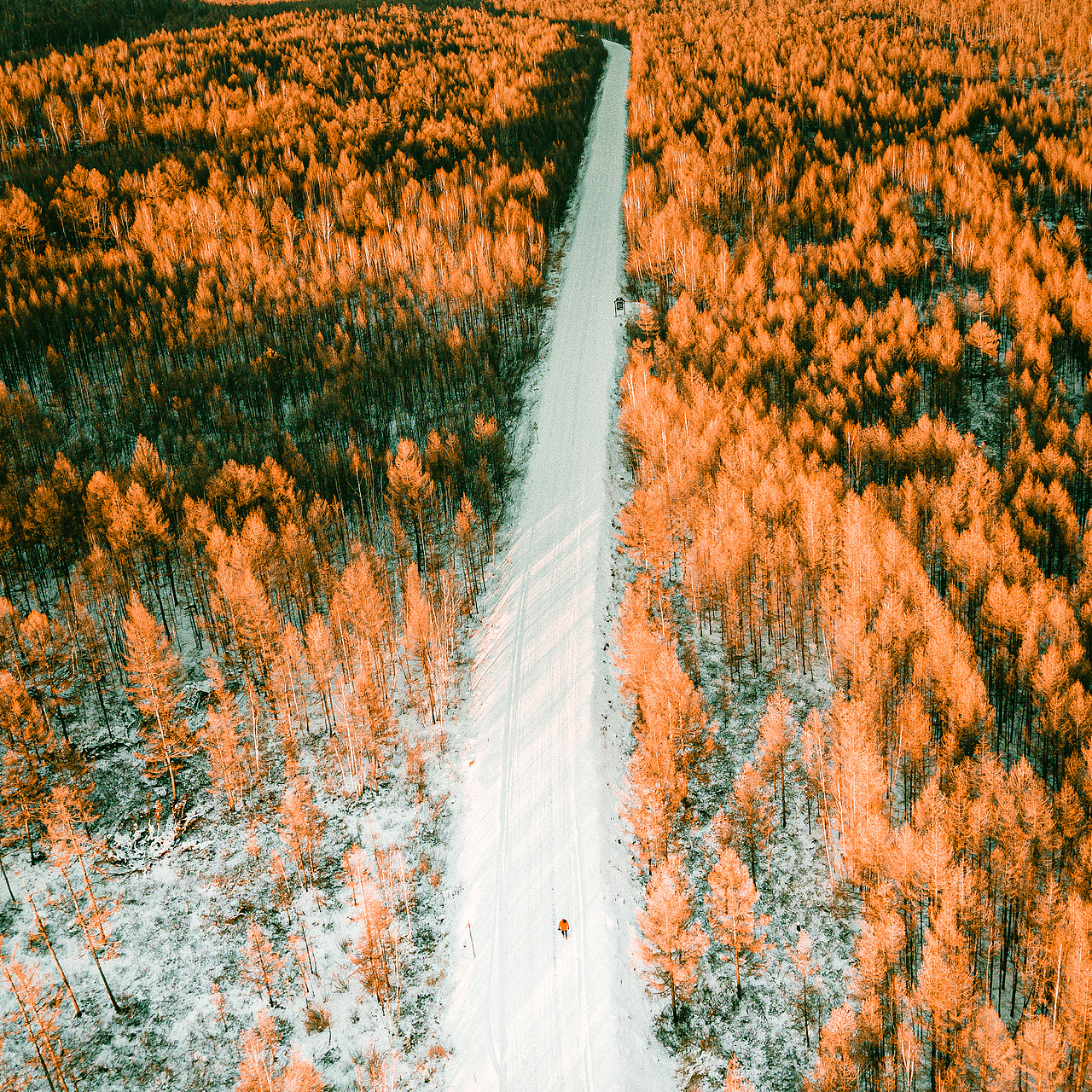 一路伴随落日 朝向阳光（图ZMzIyMjY3MzA4） - 人文/纪实摄影 - 站酷设计师拾光朝圣者原创素材 - 站酷ZCOOL