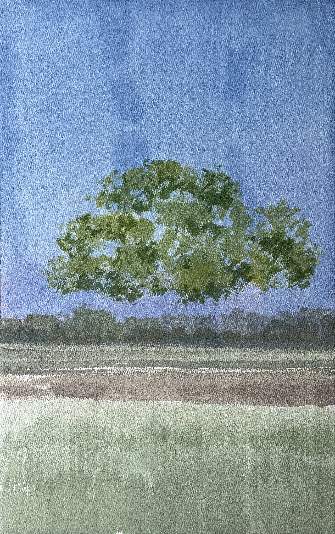 水彩风景——秋天,逃不过那棵树