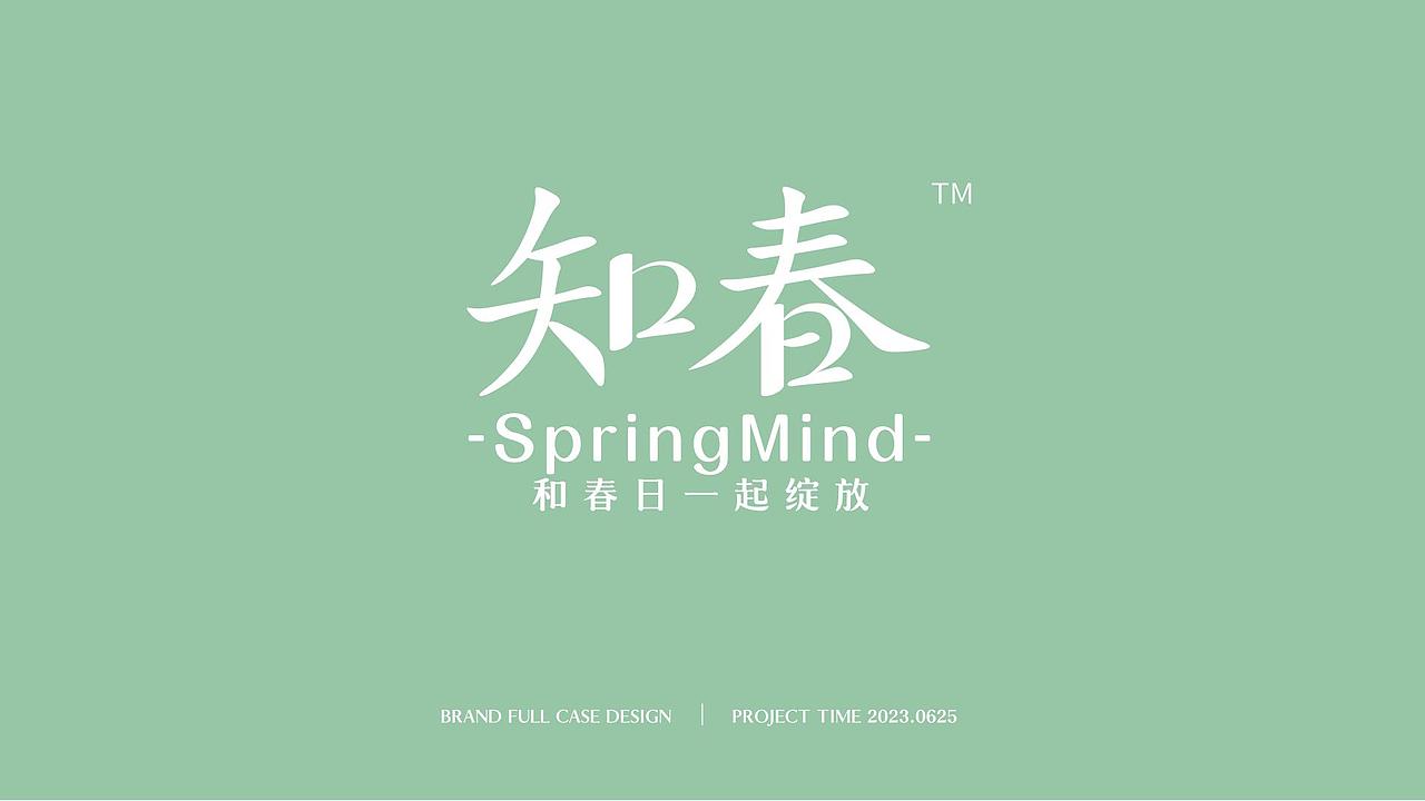 2024个人作品集（图ZMzY2MzIwNTk2） - 其他平面 - 站酷设计师清盏词原创素材 - 站酷ZCOOL