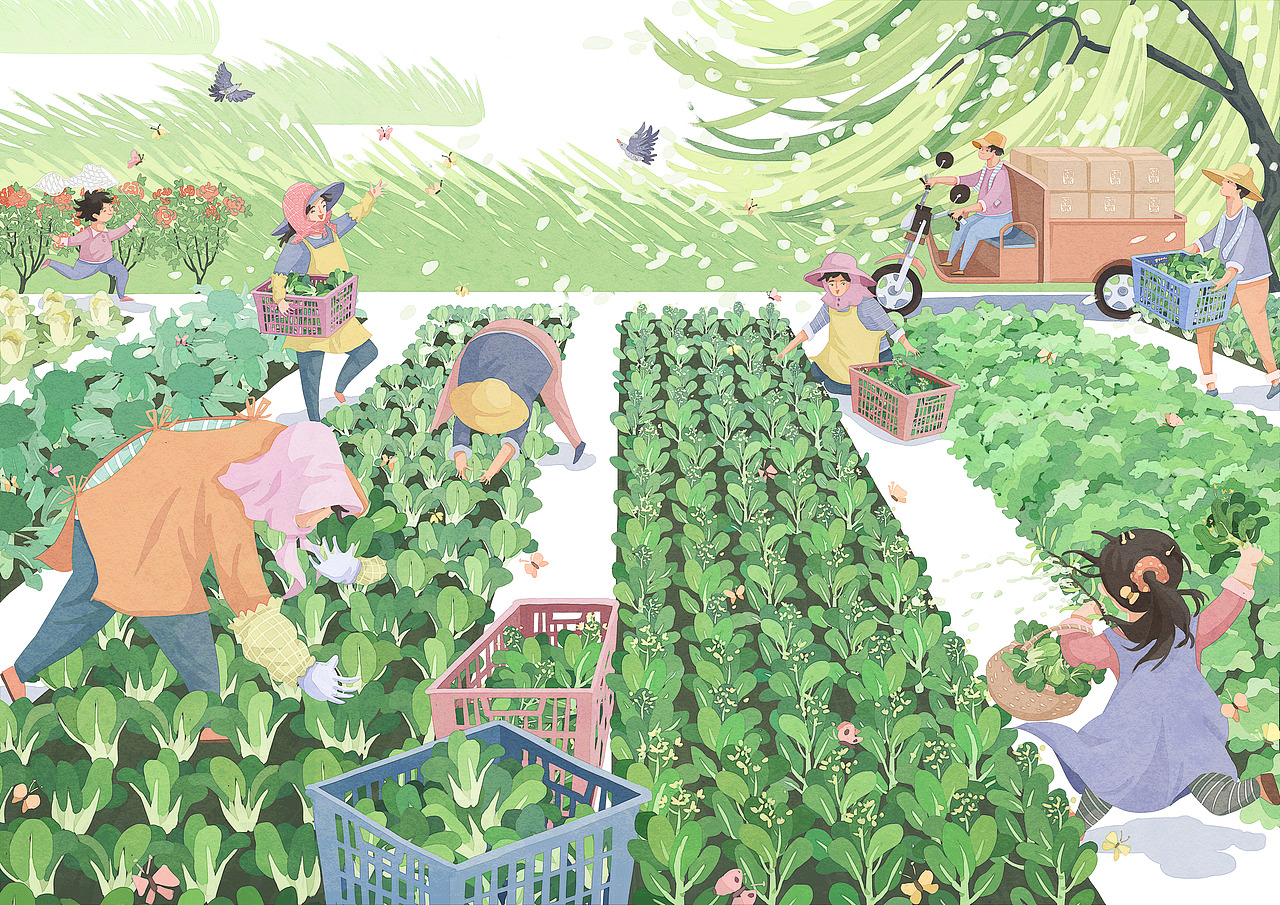 盐都农产品包装/宣传图（二十四节气）（图ZMzI5ODczMzAw） - 商业插画 - 站酷设计师伞小獭原创素材 - 站酷ZCOOL