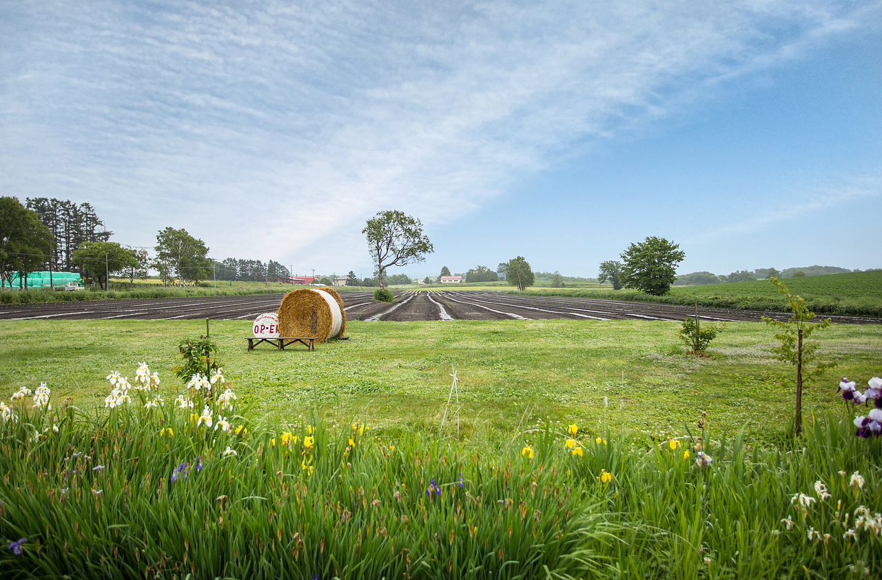牧场的名字之所以依然保持着"箱根"二字,是为了表达对故土的一片怀念