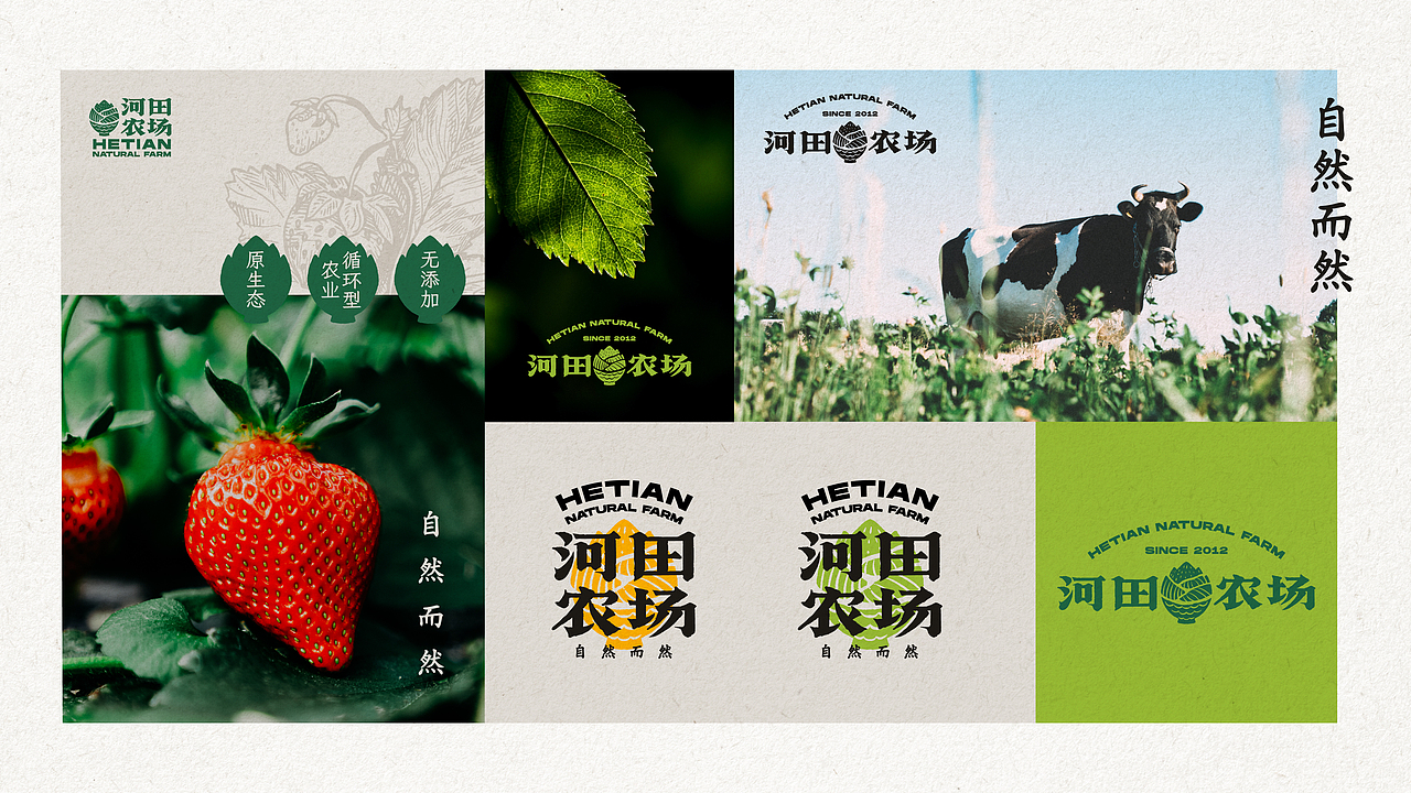 河田农场品牌视觉设计创意呈现（图ZMzMyNTIxNjg4） - 品牌 - 站酷设计师ZoeyZhao品牌设计原创素材 - 站酷ZCOOL