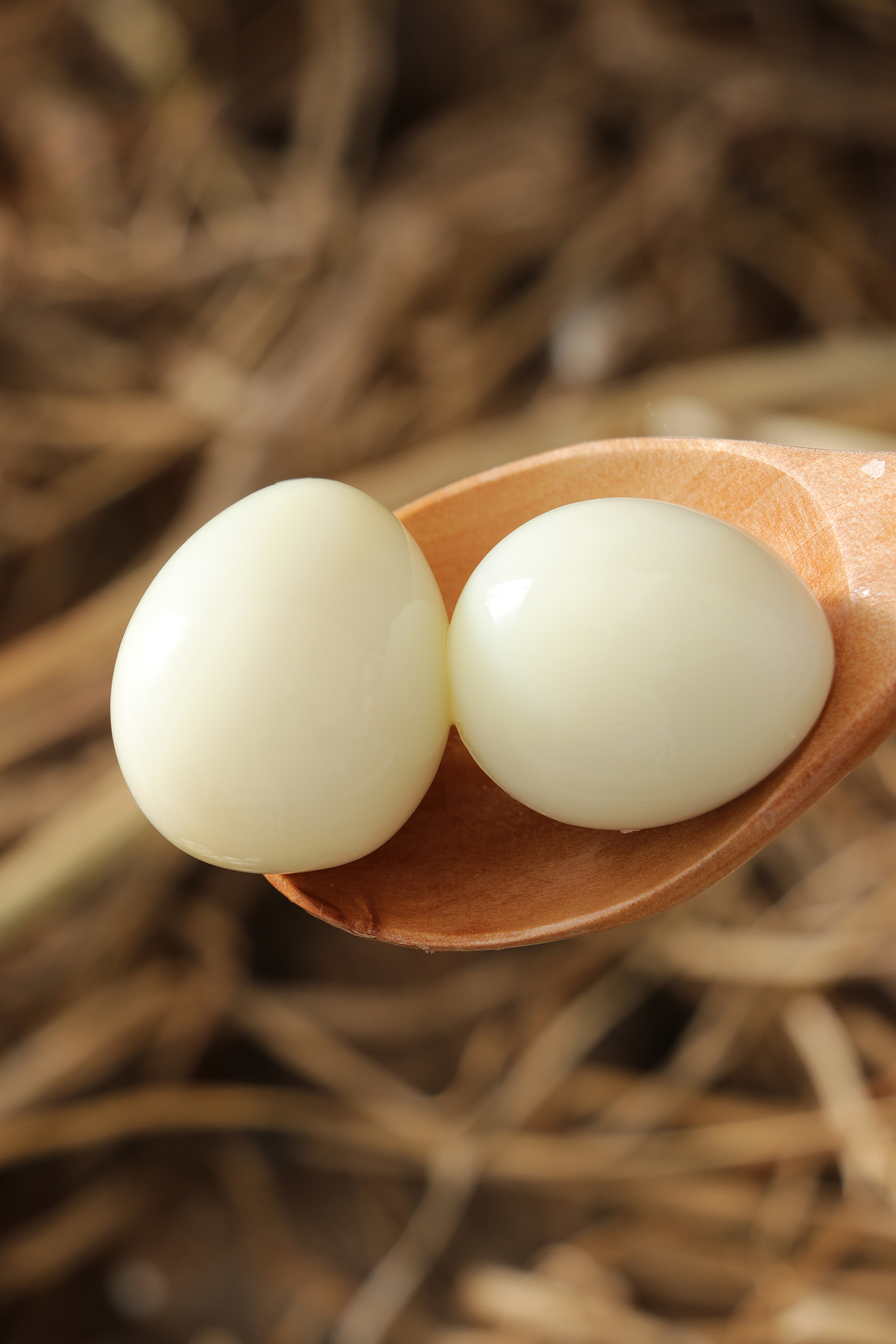 新鲜农家鹌鹑蛋 鸭蛋鸡蛋 鸽子蛋 卤蛋 鸟蛋 牲畜产品