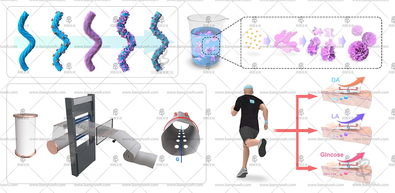 邦图科研绘图作品展示