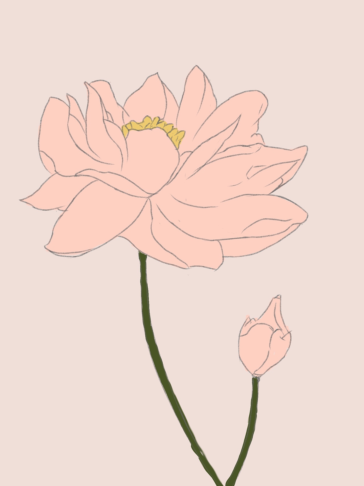 花（图ZMzU2MTUyNjA4） - 艺术插画 - 站酷设计师开始学习shine原创素材 - 站酷ZCOOL