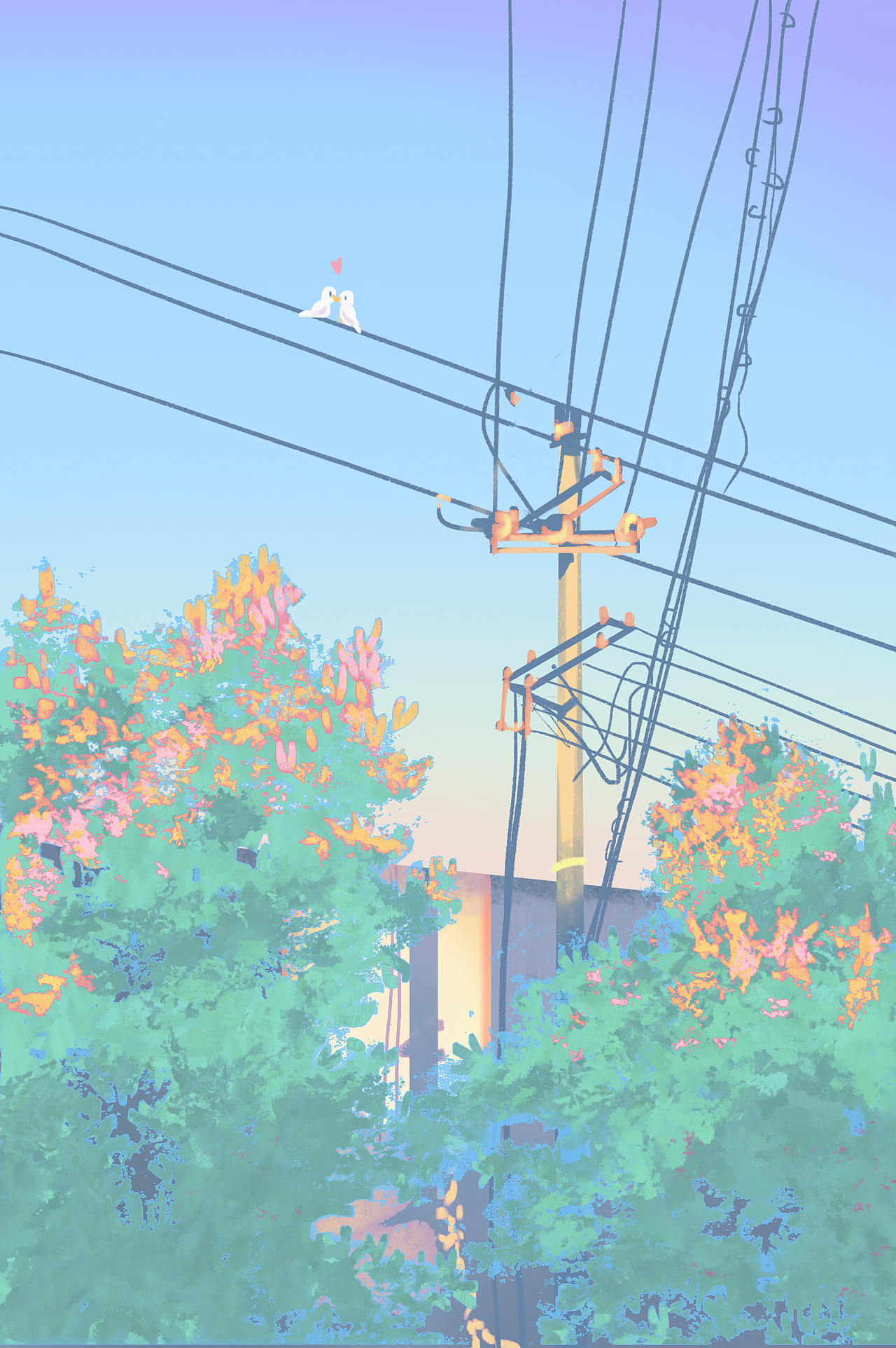 窗外的白鸽在电线杆上多嘴