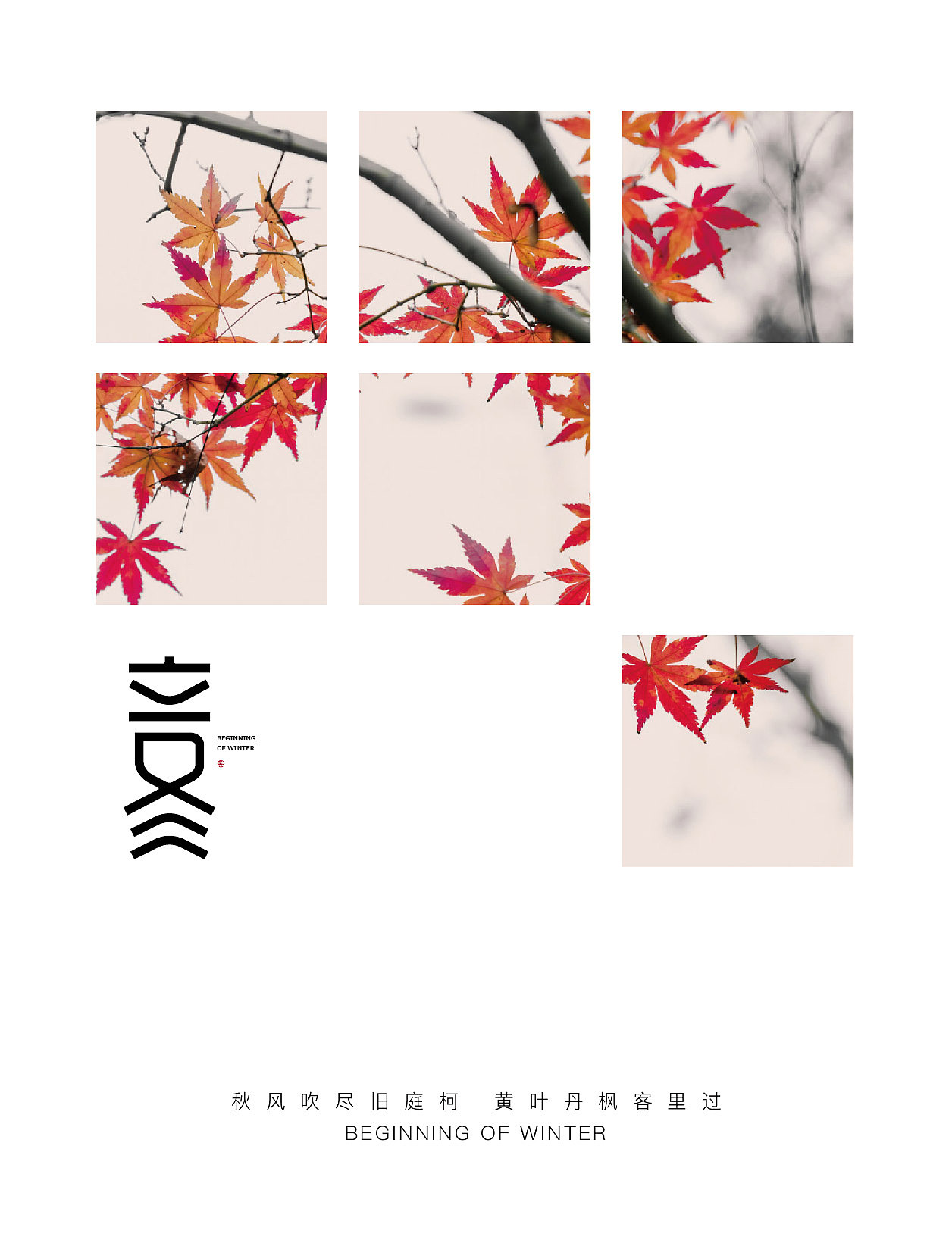 二十四节气「立冬」
