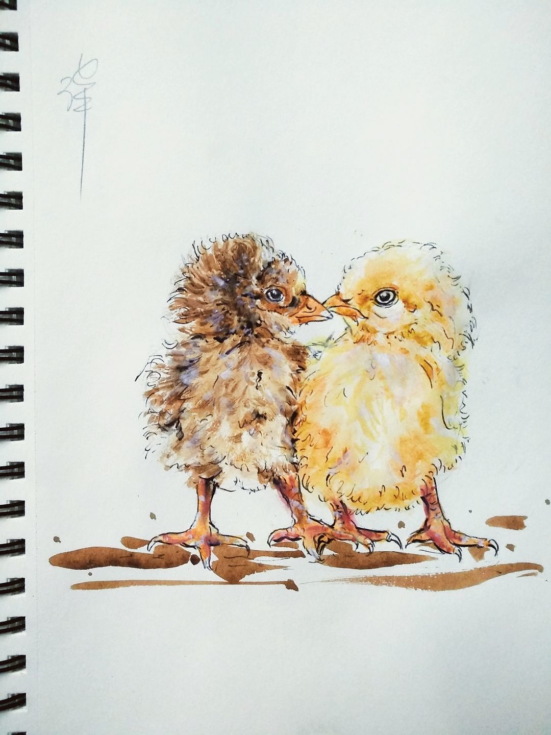 缤纷的动物世界2