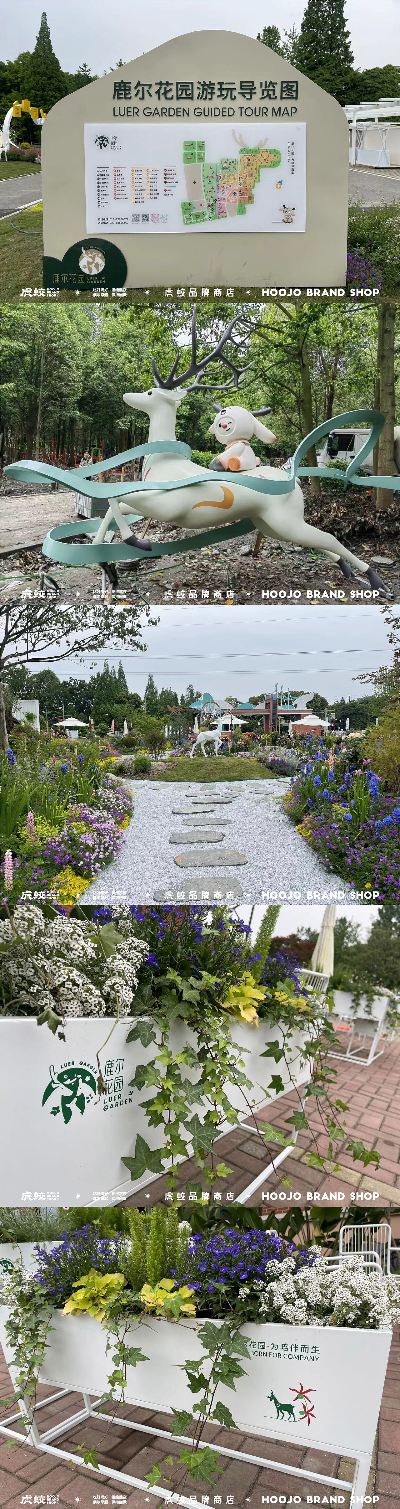 品牌形象 | LUER GARDEN鹿尔花园 | 策略&设计 ✖ 虎蛟