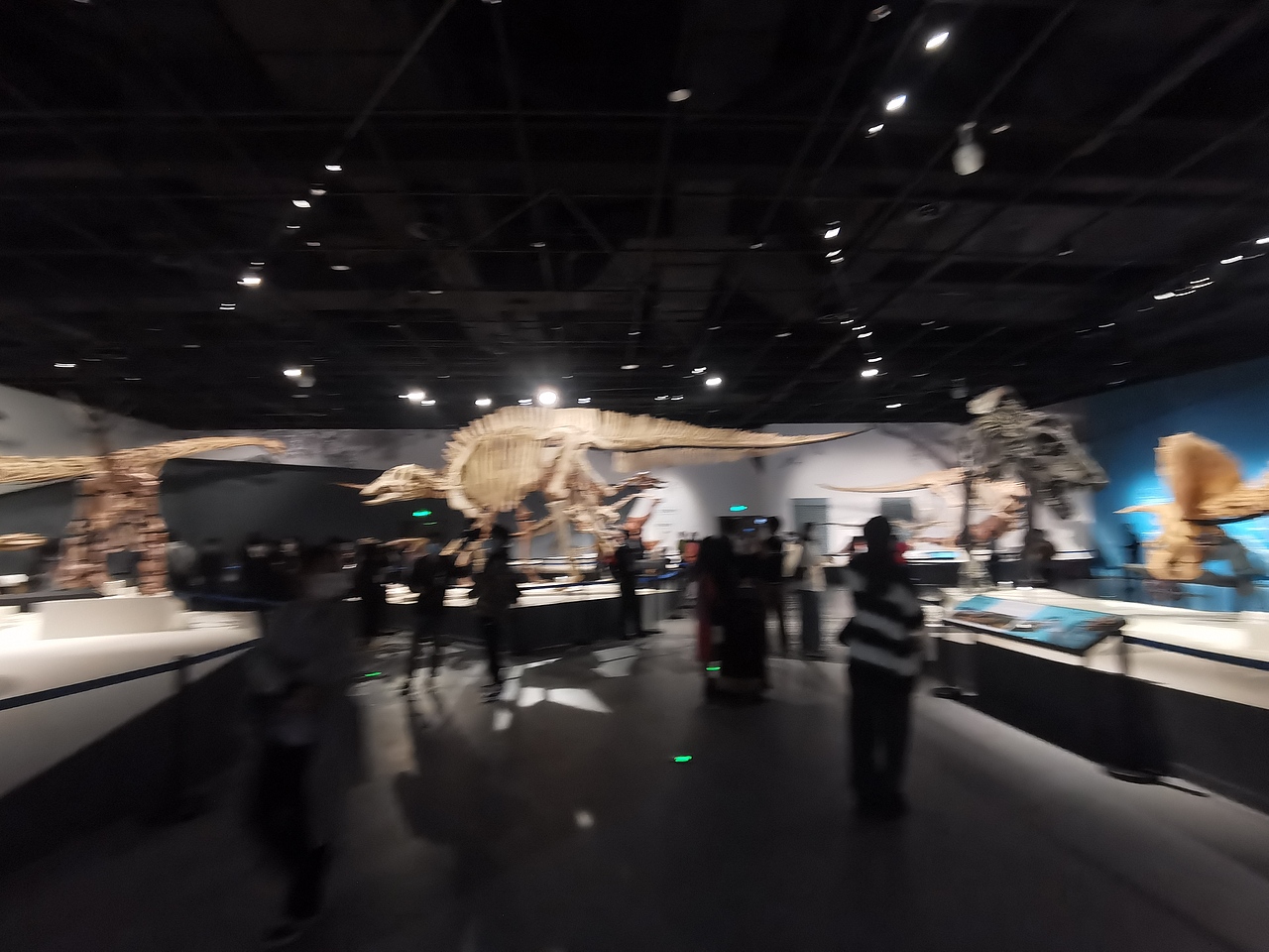 成都自然博物馆（图ZMzI0NTI3NzI4） - 展陈设计 - 站酷设计师聚光灯下锦衣夜行原创素材 - 站酷ZCOOL