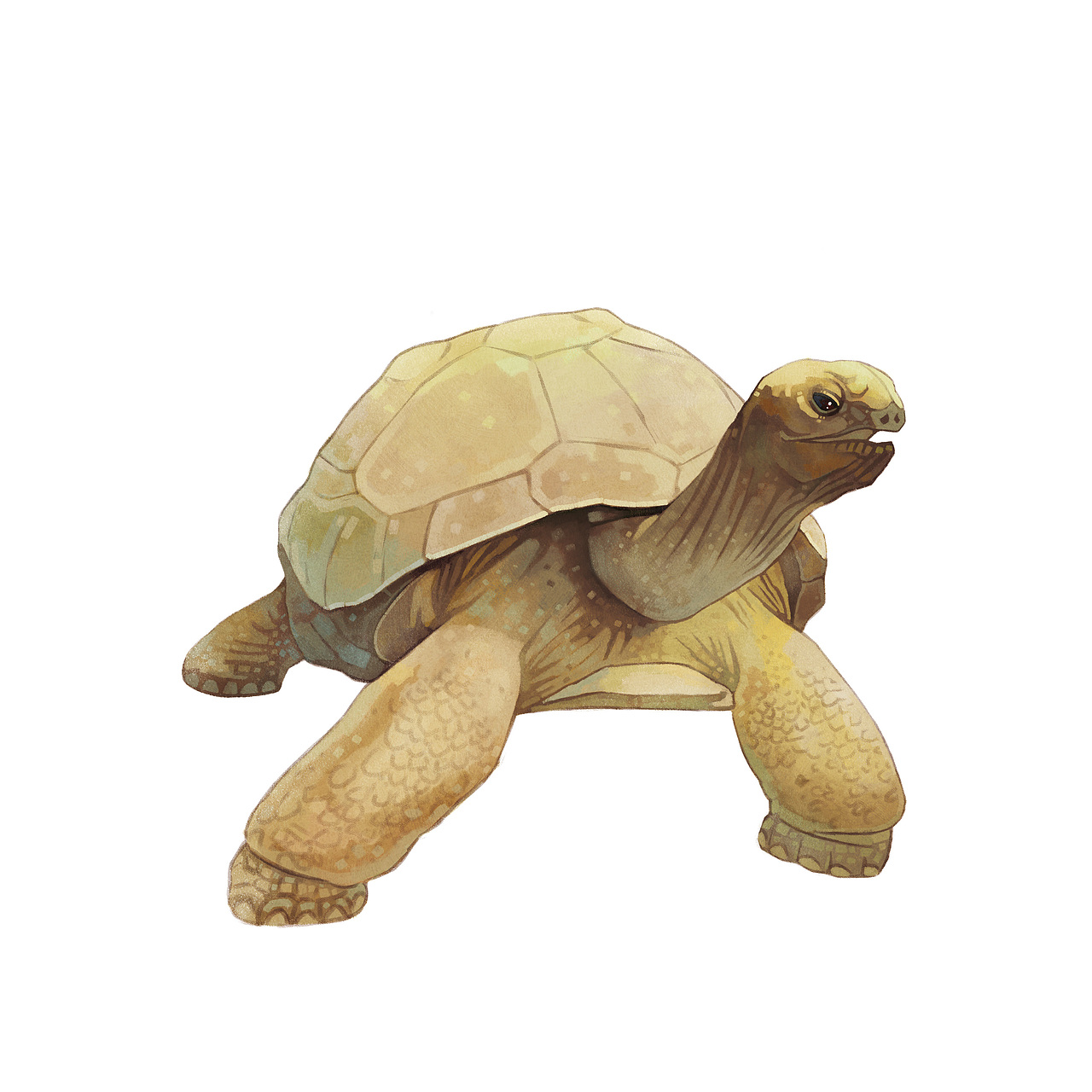 兒童英語(yǔ)雜志小結(jié)（圖ZMzE4MzU1MTAw） - 兒童插畫(huà) - 站酷設(shè)計(jì)師c王子的金魚(yú)原創(chuàng)素材 - 站酷ZCOOL