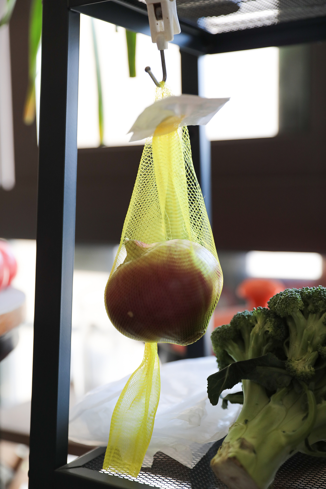 疫外,魔都的一天