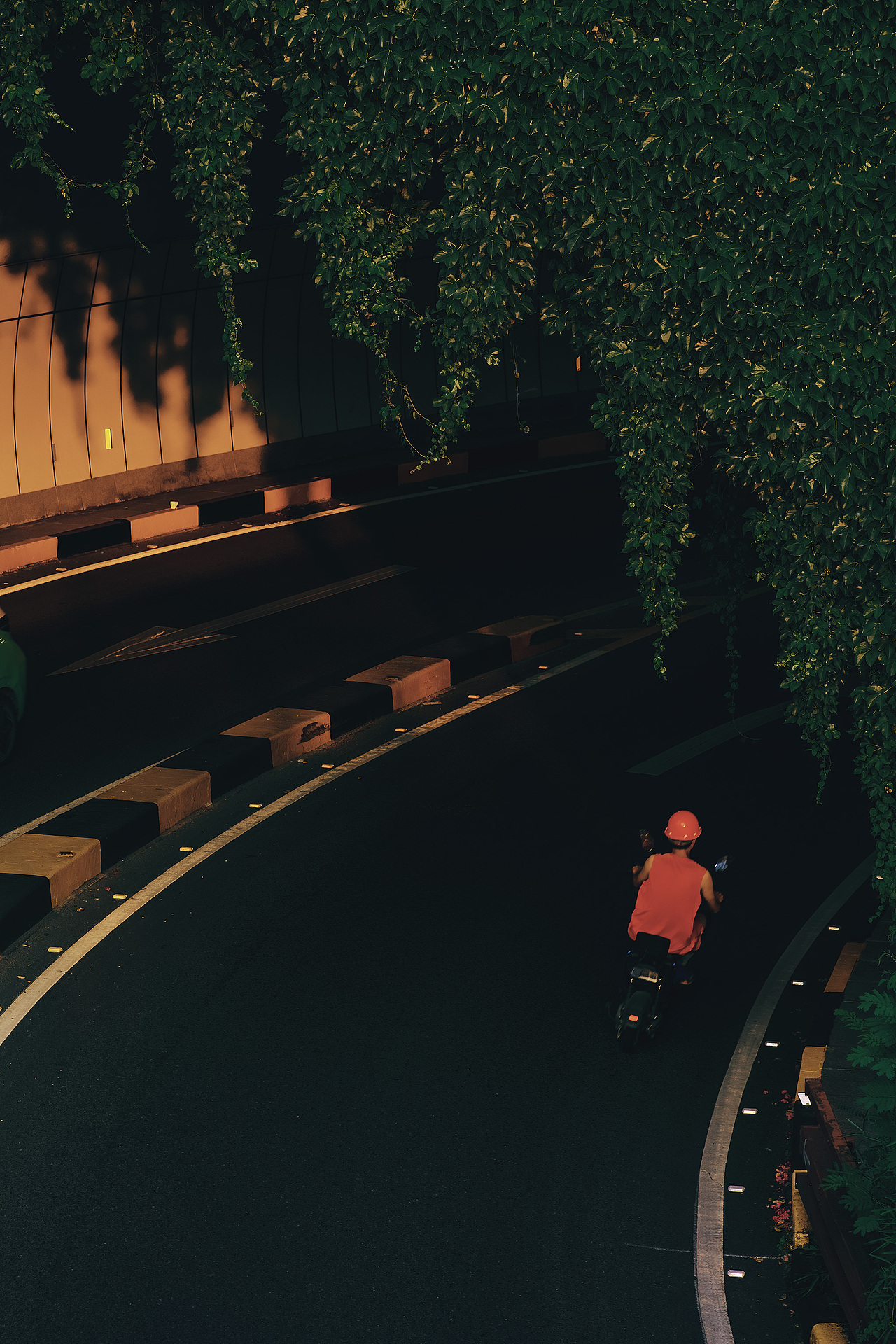 壬寅七月.厦门印象系列