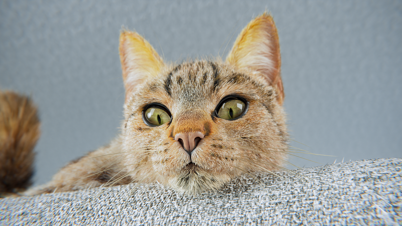 2022年猫王年度总结-共48组作品约400张图给自己的答卷（图ZMzI3Njk3NjYw） - 机械/交通 - 站酷设计师猫王阿祖原创素材 - 站酷ZCOOL