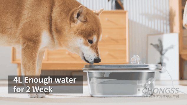 宠物产品摄影|宠叔叔  X  星际饮水机