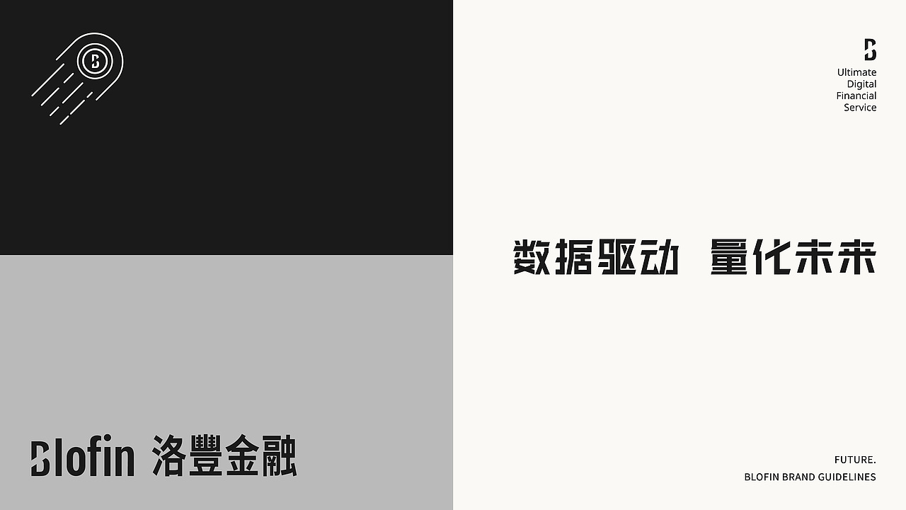 【品牌设计】blofin × 阿呆 - 关于黑白的探索