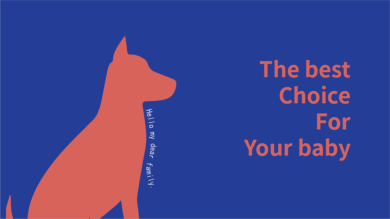 芭比堂动物医院