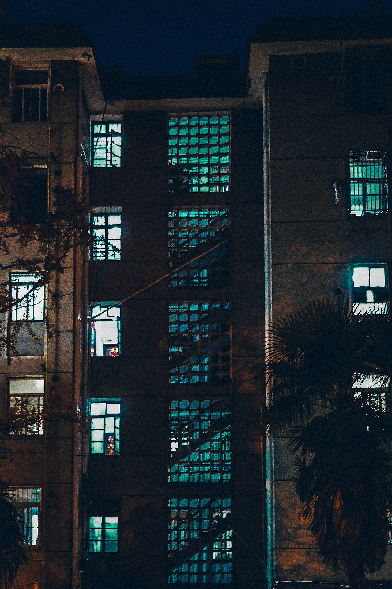 寂静世界 不发一言...