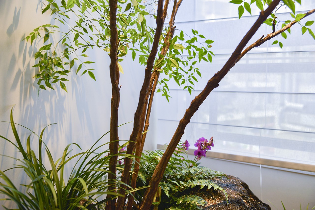 DAA 成象裝飾 | A NEW START