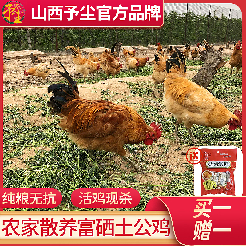 鸡主图（图ZMzE4MjM2NTQw） - 电商 - 站酷设计师追风的李原创素材 - 站酷ZCOOL