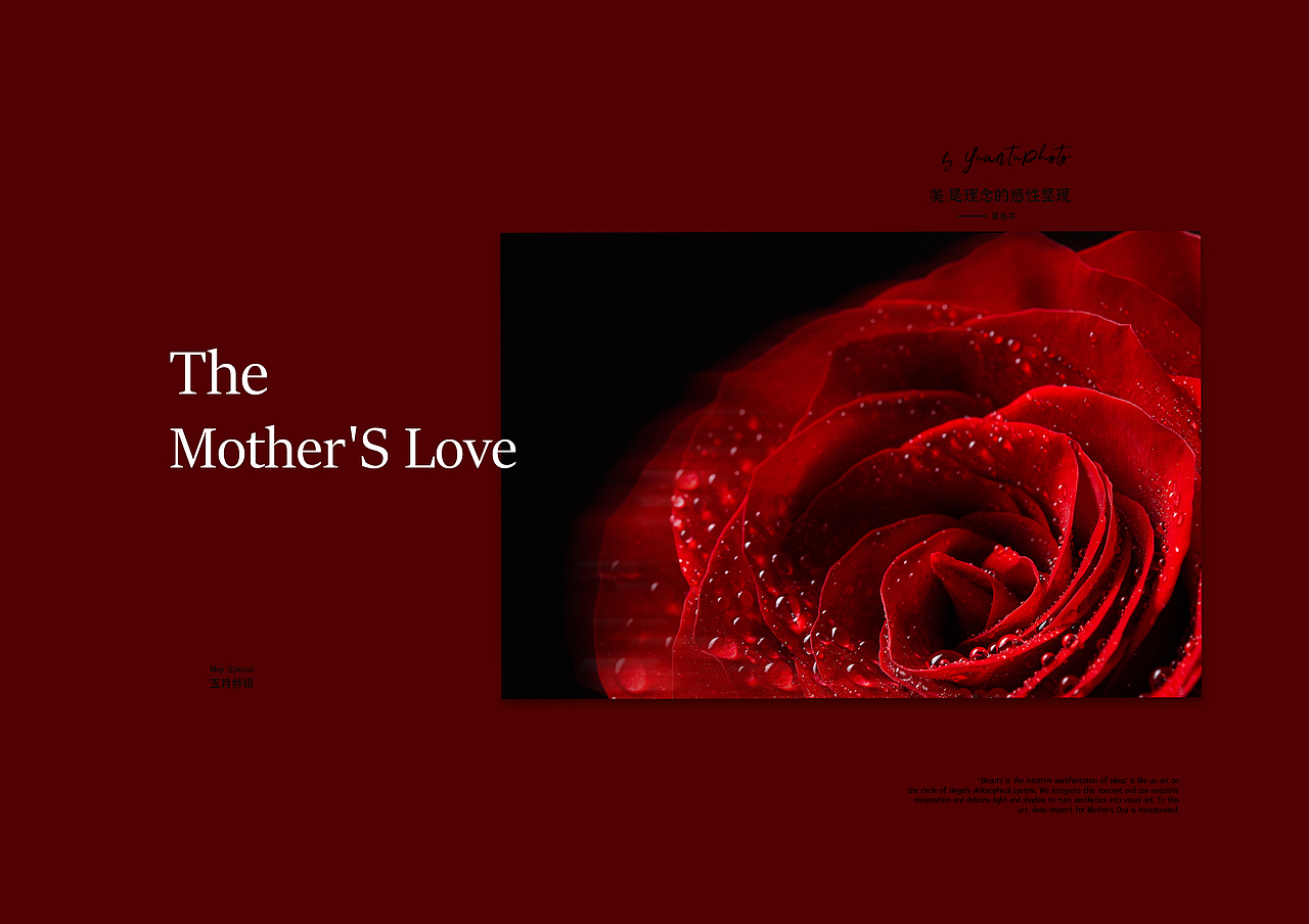 Along the course of time, we have always held a reverence for aesthetics and a love for food. Every shot is a dance of the mind and senses, a perfect interweaving of reason and sensibility. Aesthetics is not only a visual enjoyment, but also a feast for taste. We have never stopped exploring and innovating on this path.