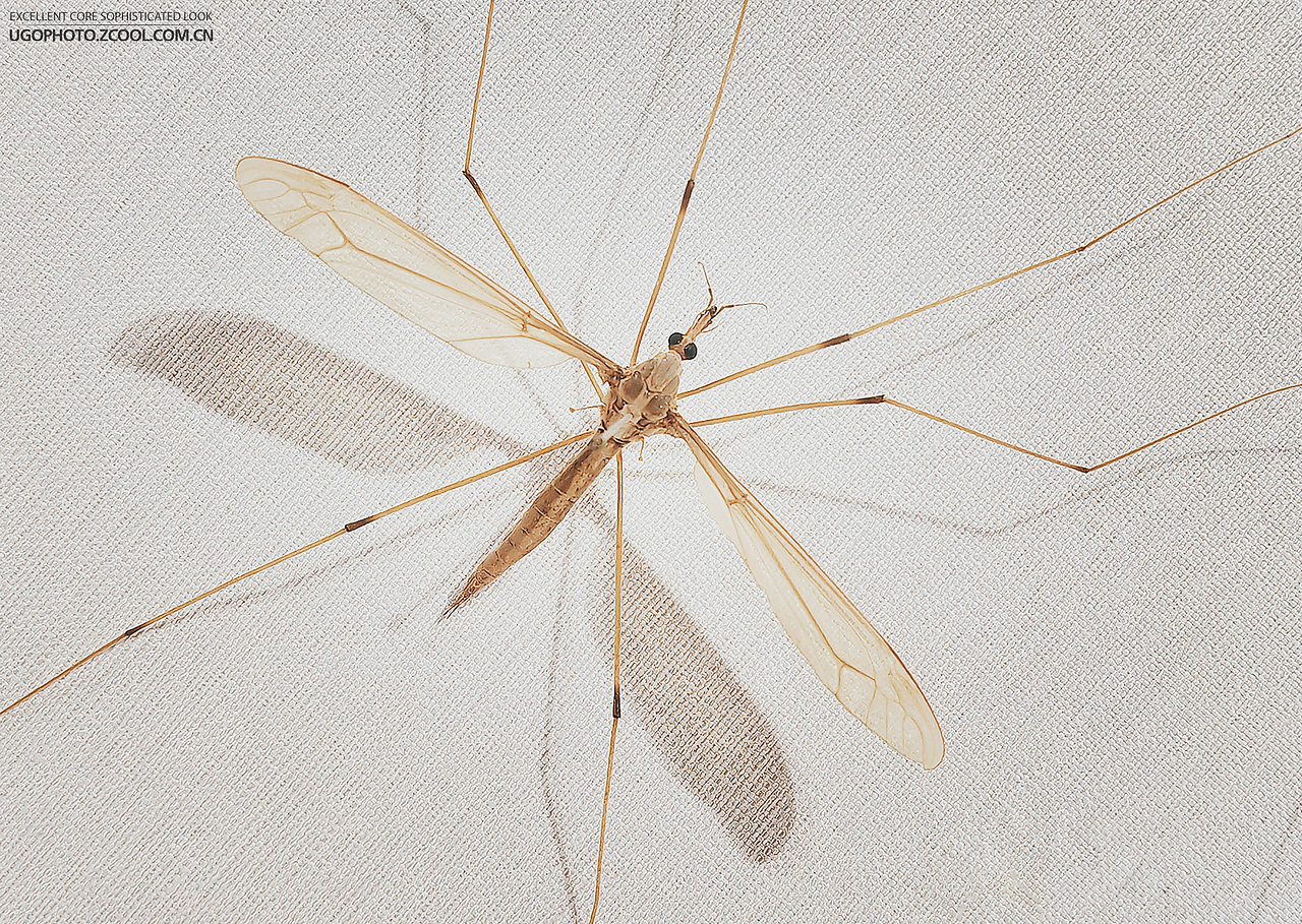 手机摄影些些【1】