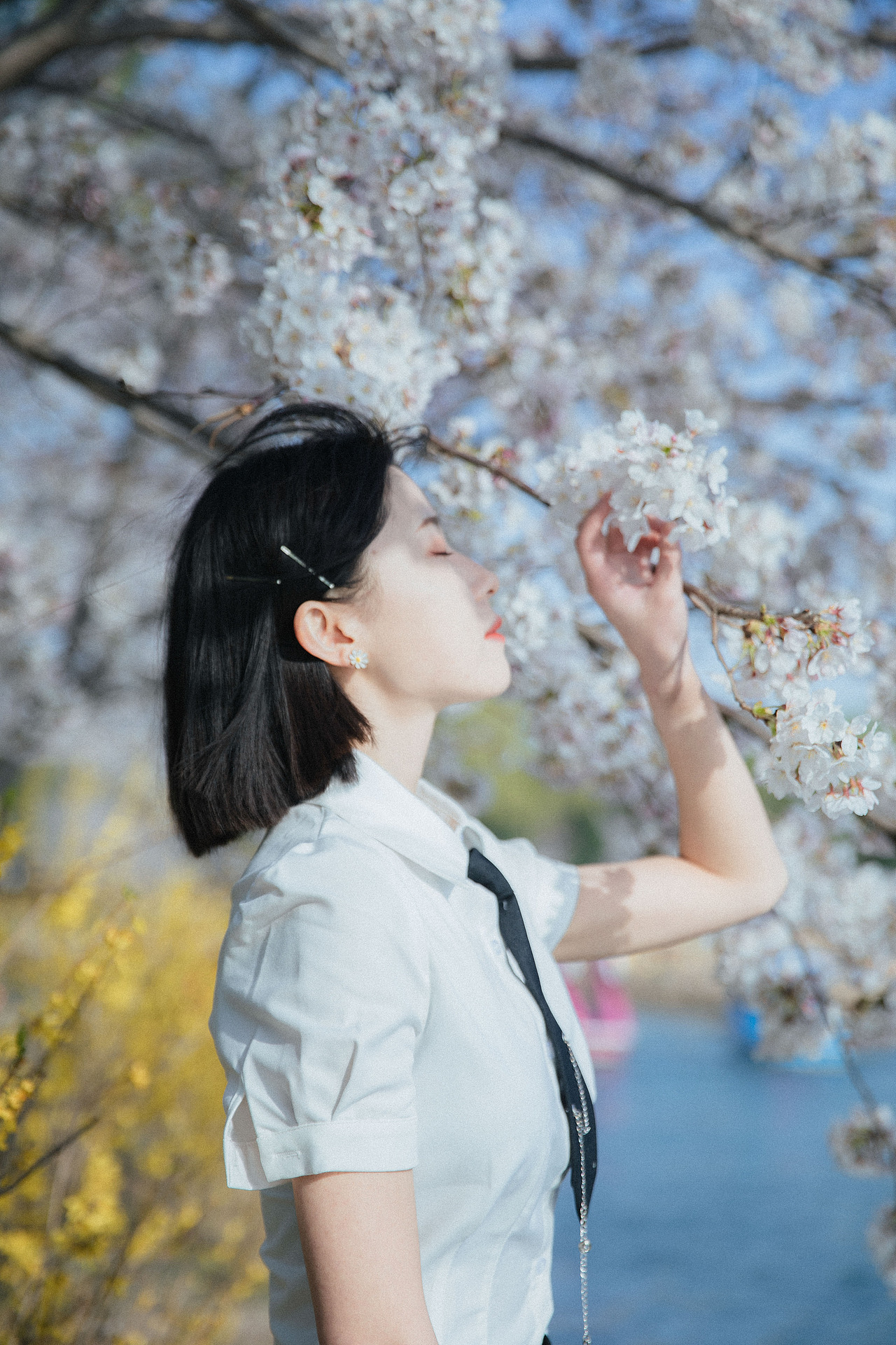 樱花梦境（图ZMzM1OTAwNjQ0） - 人像摄影 - 站酷设计师修图师张欢原创素材 - 站酷ZCOOL