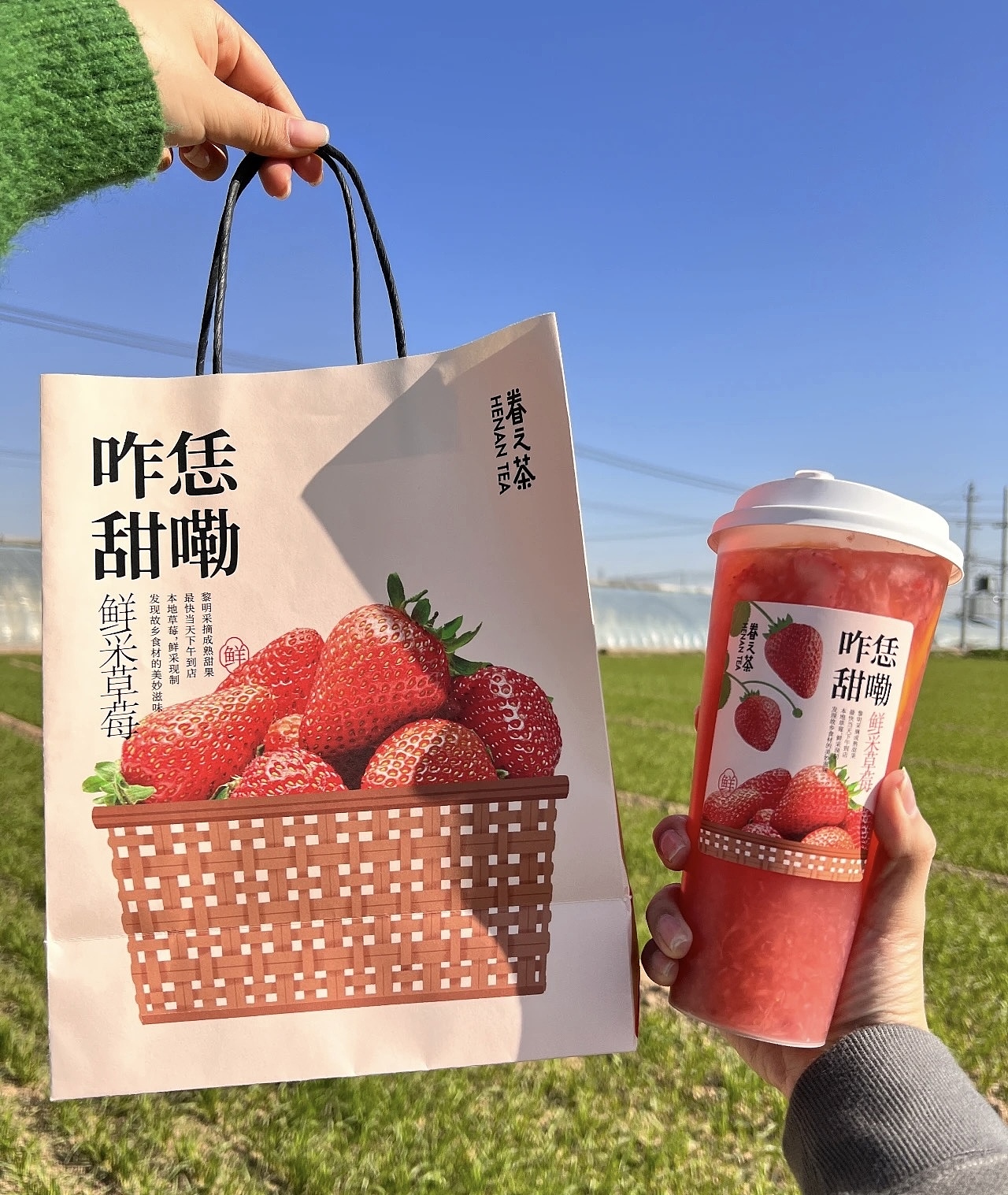 眷之茶✖️ZEYU STUDIO｜草莓系列上新（图ZMzYwMTM1NjY4） - 产品摄影 - 站酷设计师沐光MOOGON原创素材 - 站酷ZCOOL