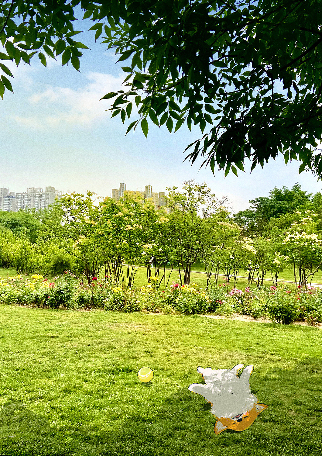 照片插畫 | 這個(gè)夏天（圖ZMzAyNTEyMTUy） - 創(chuàng)作習(xí)作 - 站酷設(shè)計(jì)師Joynii原創(chuàng)素材 - 站酷ZCOOL