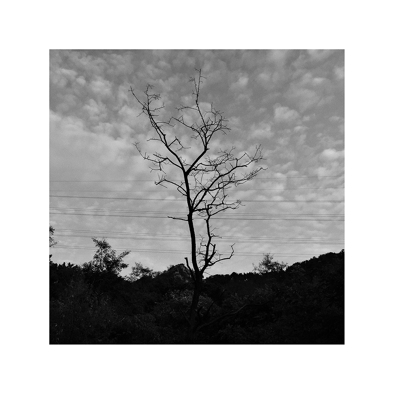 走走停停｜手机摄影（四）（图ZMzYxNTcyOTM2） - 人文/纪实摄影 - 站酷设计师未完待续ing原创素材 - 站酷ZCOOL