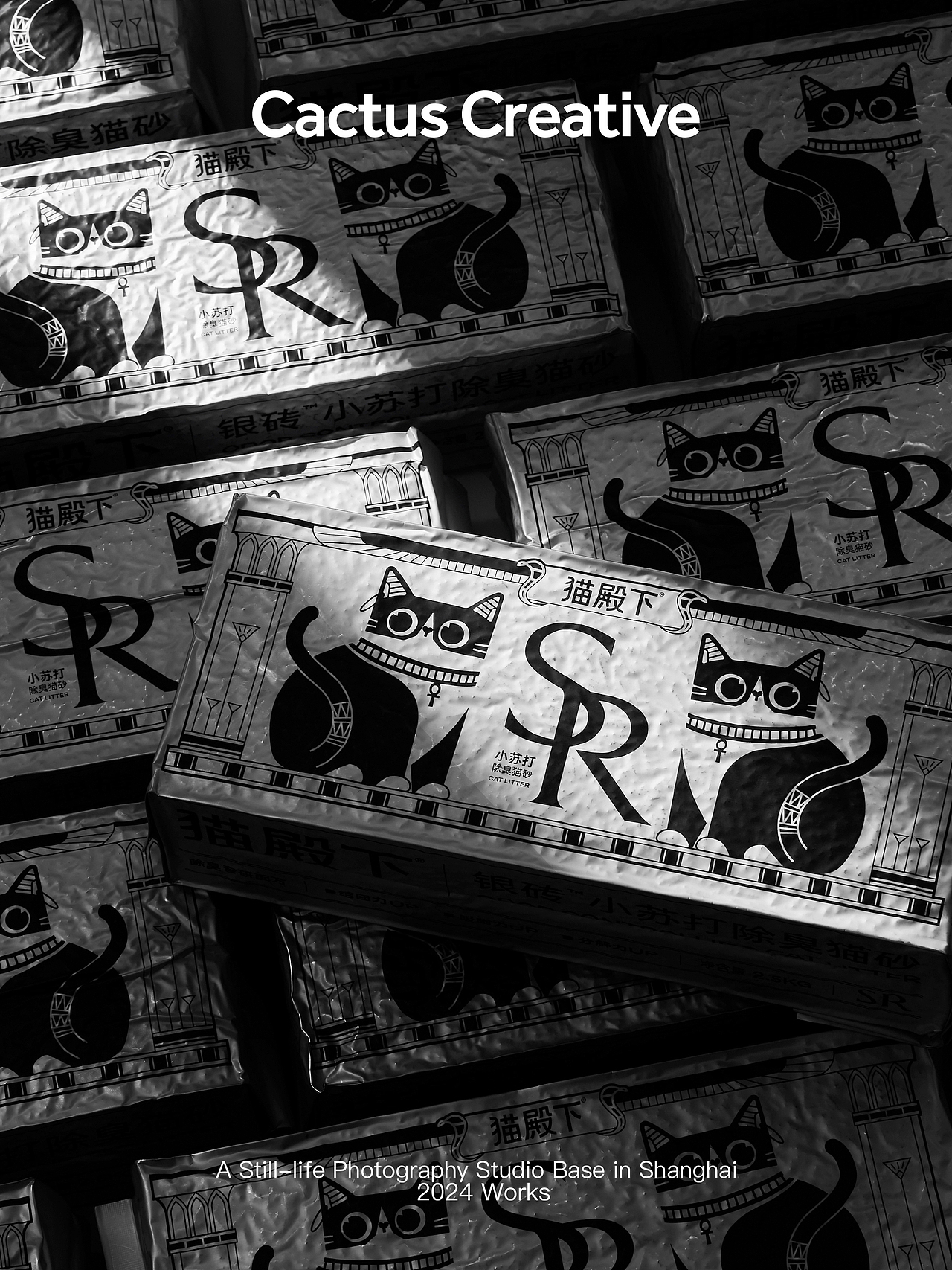 宠物产品拍摄、主图视频｜猫殿下 银砖猫砂（图ZMzYwNzAyMDI0） - 宣传片 - 站酷设计师仙人掌花园原创素材 - 站酷ZCOOL