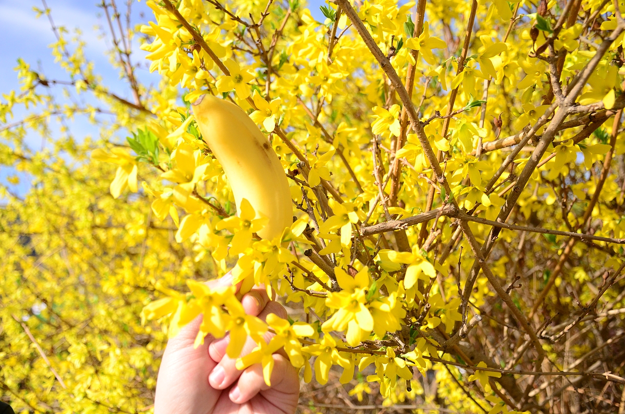 多巴胺季節(jié)（圖ZMzUyMzQ3NjEy） - 風(fēng)光攝影 - 站酷設(shè)計師華北王祖賢原創(chuàng)素材 - 站酷ZCOOL