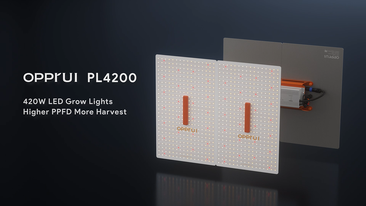 PL-4200植物灯（图ZMjk2MjY3OTI0） - 产品 - 站酷设计师脸黑者原创素材 - 站酷ZCOOL