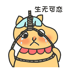 川川子喵的日常