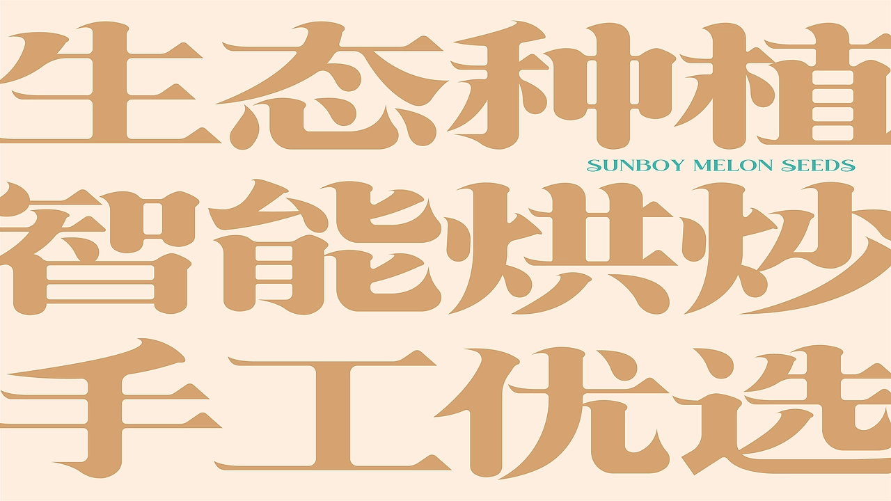 尚智&times;三胖蛋｜罐装瓜子概念包装设计｜礼盒包装设计