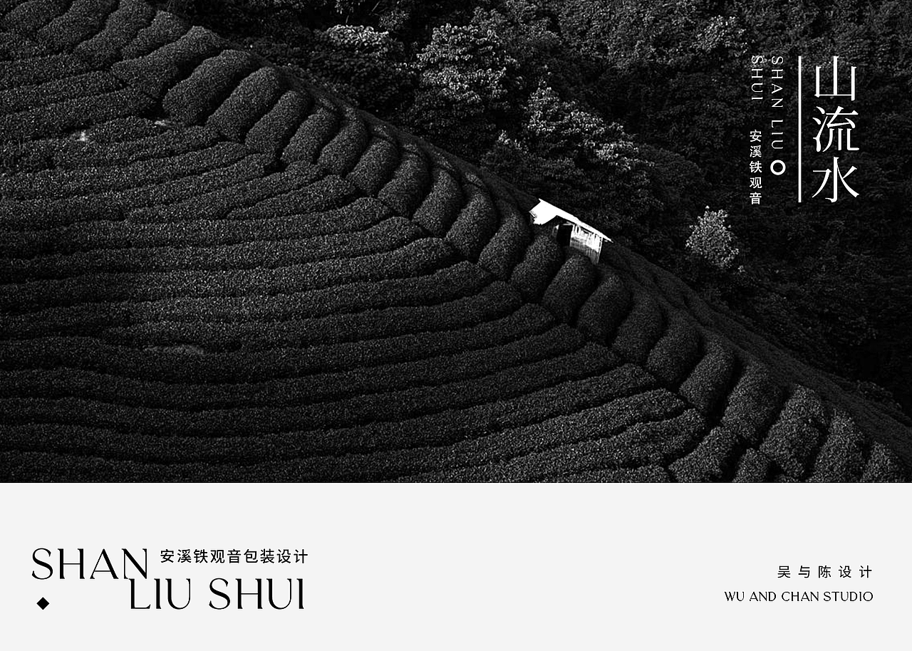 茶包装设计-安溪铁观音包装策划与设计