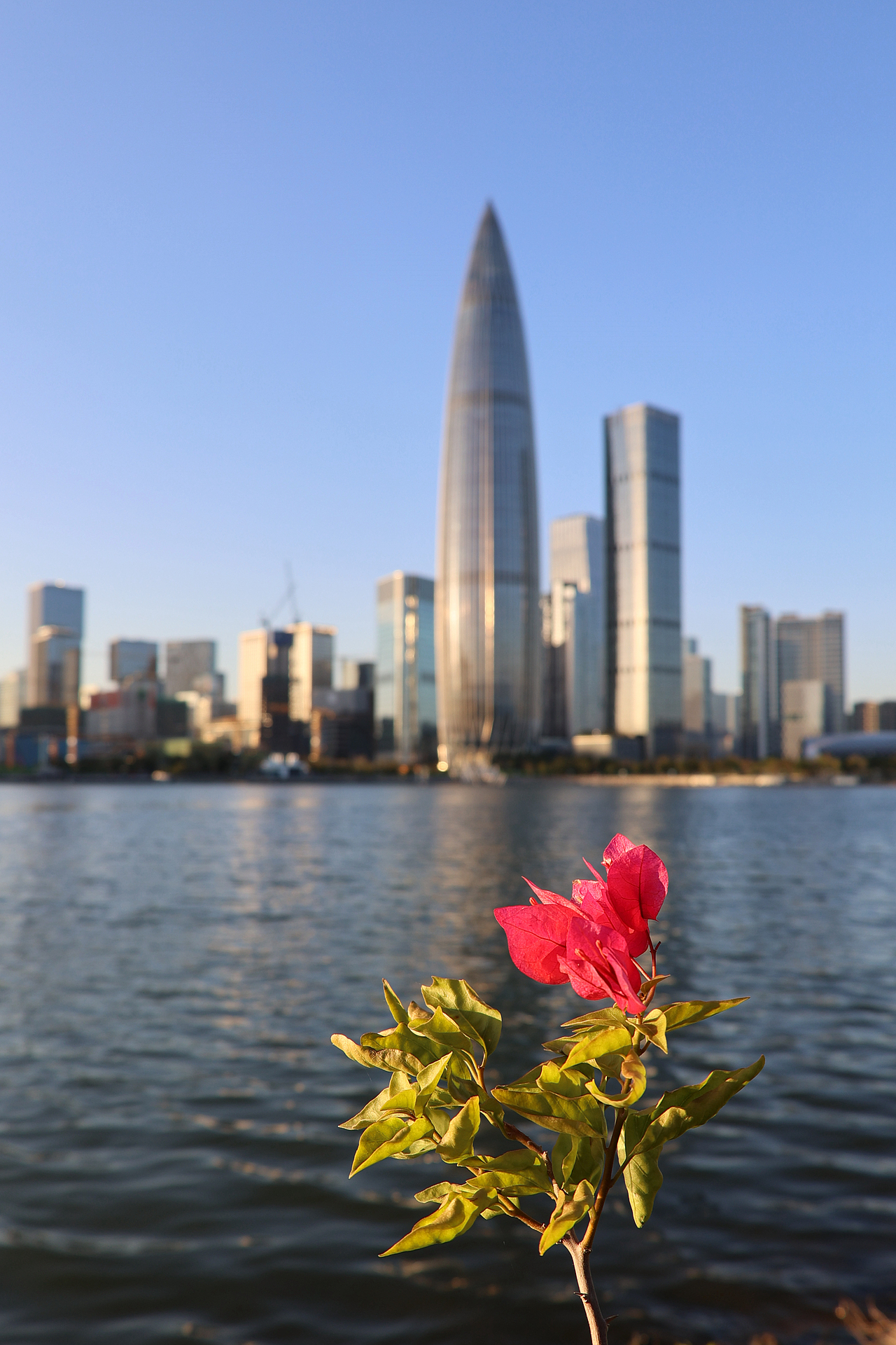 暖阳下的人才公园