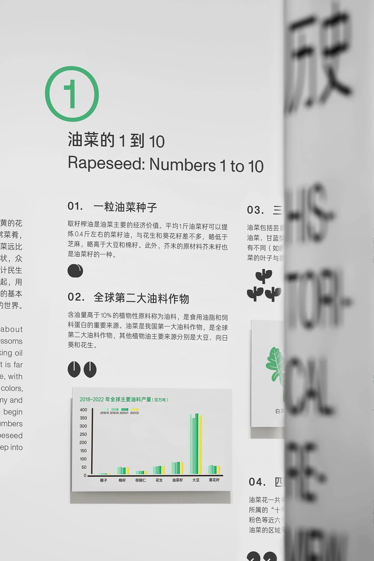 沙洋油菜博物馆