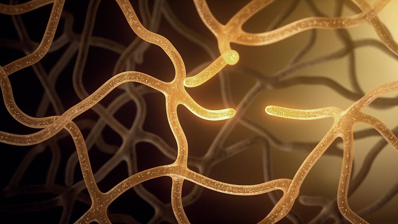 普罗米修斯美容仪产品TVC三维视频（图ZMzY0NDEyMTQw） - 产品 - 站酷设计师FLolin原创素材 - 站酷ZCOOL