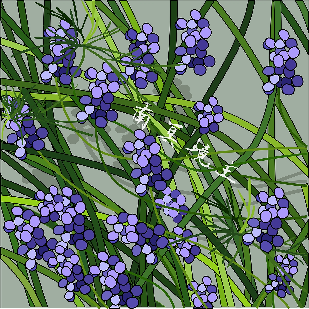 精华补水面膜手绘插画包装设计（图ZMzY5NzE4ODU2） - 商业插画 - 站酷设计师南冥镜主原创素材 - 站酷ZCOOL