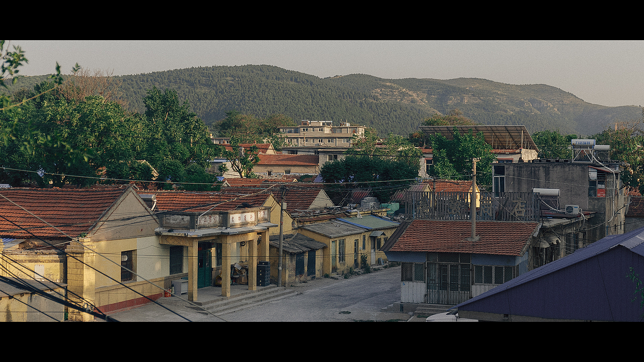 春风十里燕双飞