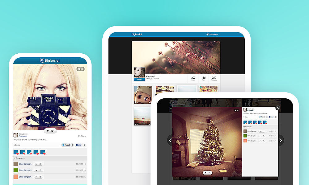 2012-2014海外Digisocal社交网站