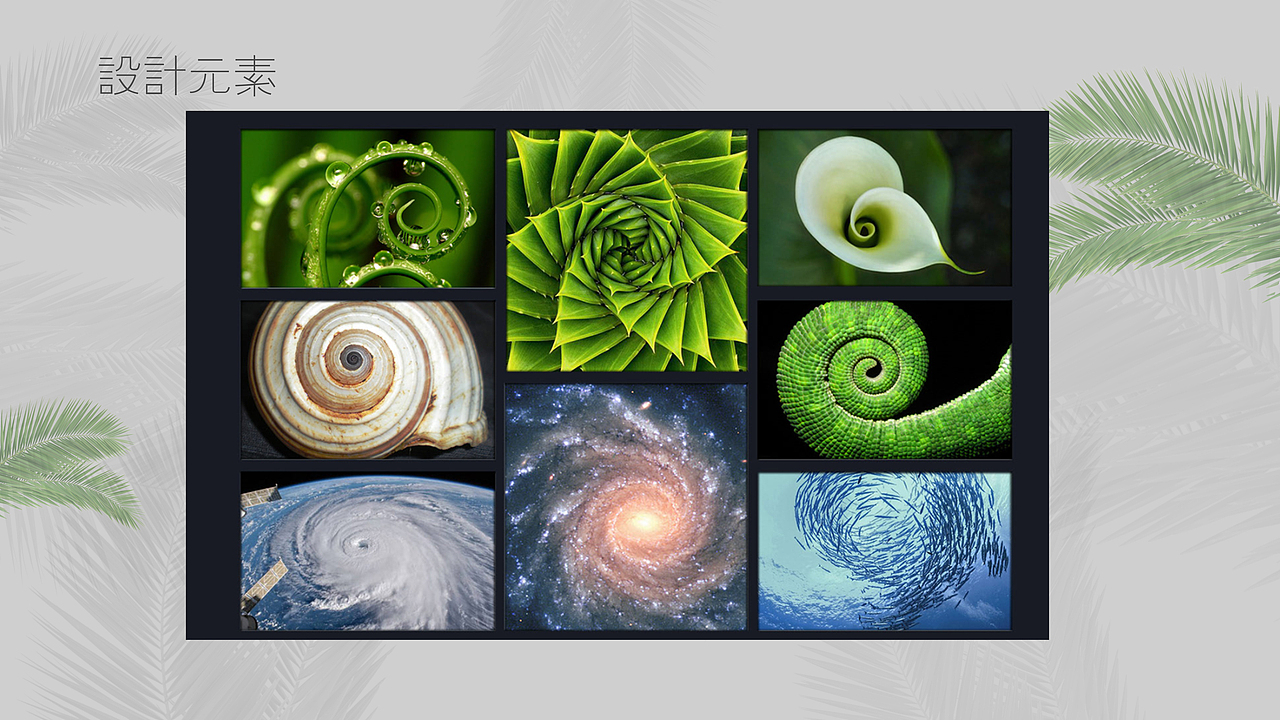 进博会展台定制方案