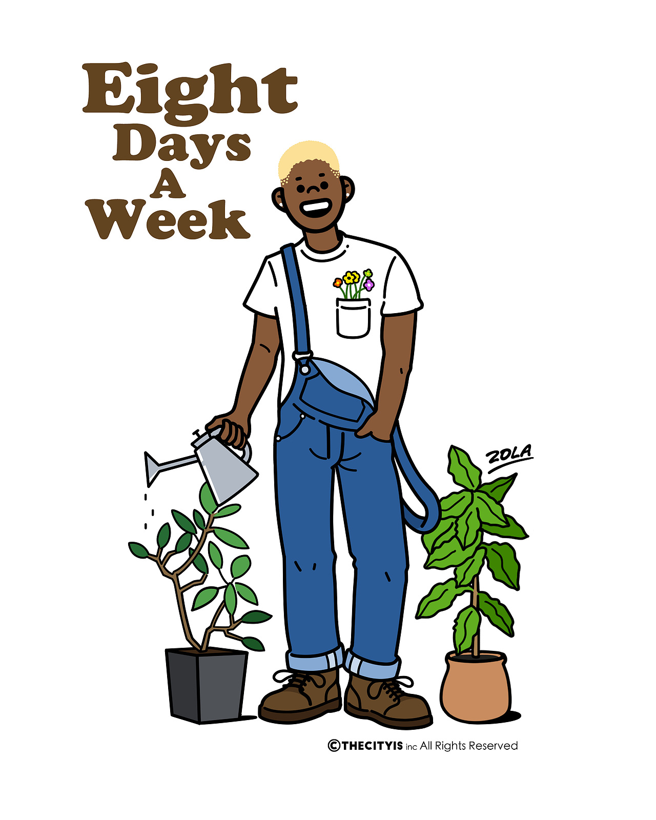 Summer Snap—夏日快照