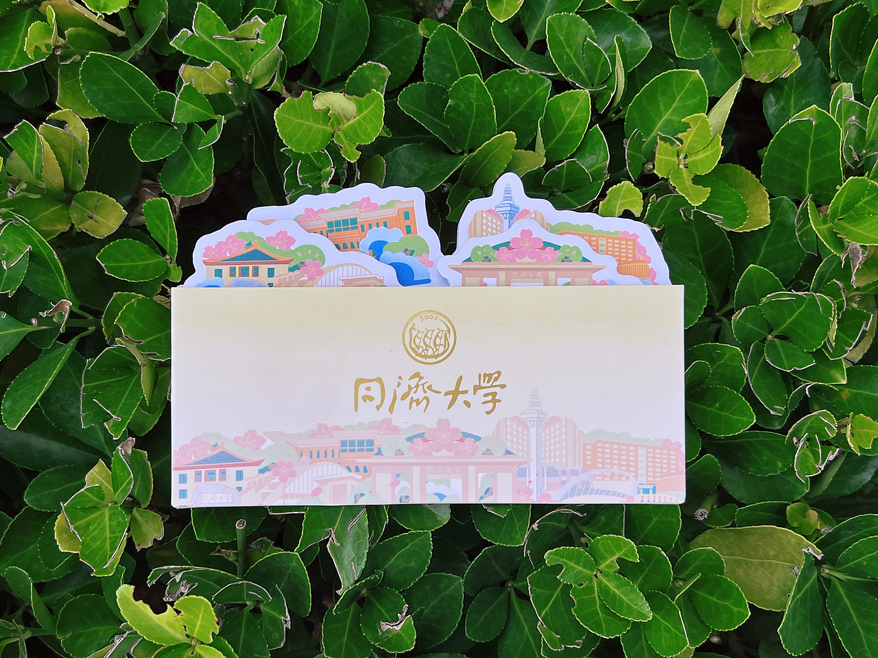 苏橙案例 | 同济大学爆款文创合集