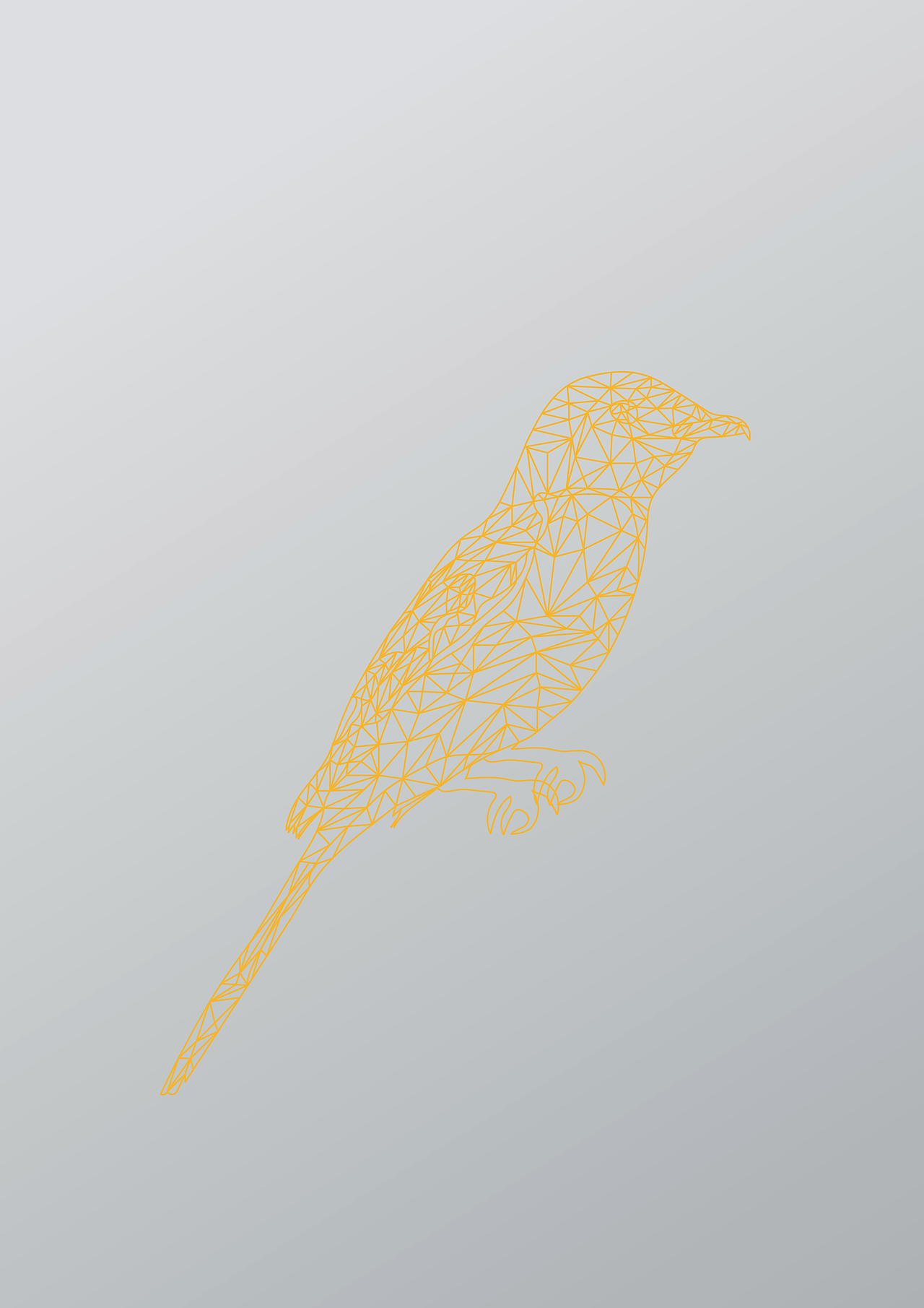 lowpoly风格珍惜鸟类2