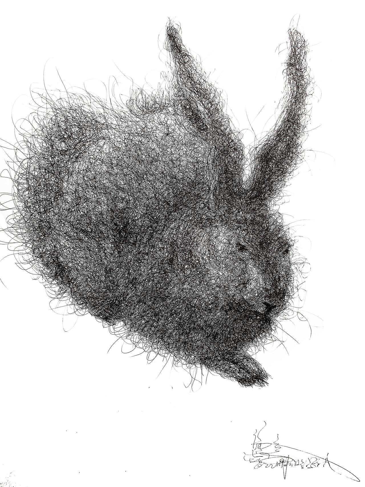 兔—生肖艺术大展入选作品《焦点》